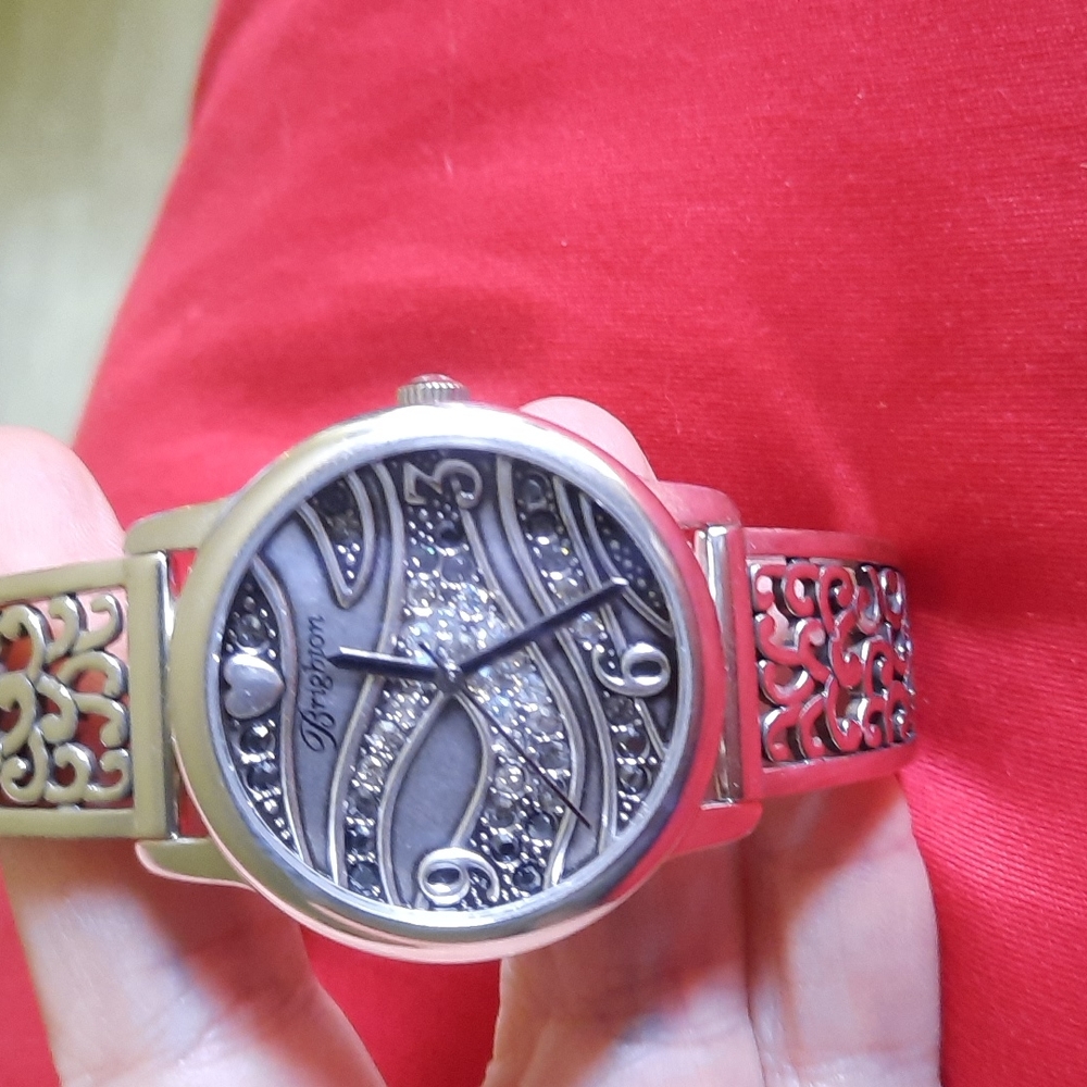 Brighton watch
